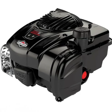 Motor BRIGGS 550E SERIES