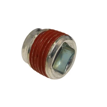 Olajleresztõ Briggs csavar 691680